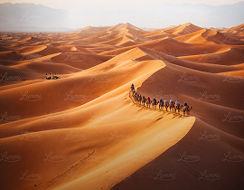 Dubai Luxury Escape