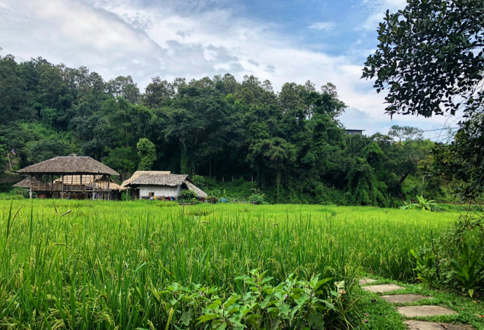 Kerala Backwaters Escape