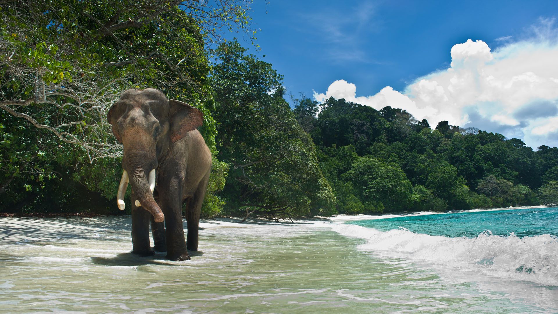 Kerala Backwater Experience